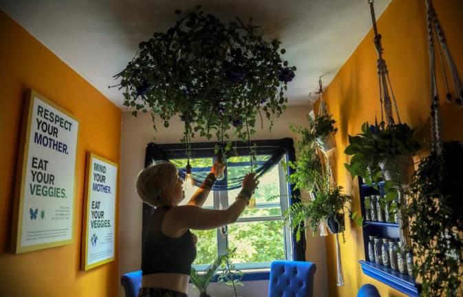 Rachel Berry in her kitchen decorated with her graphic designs and plants.