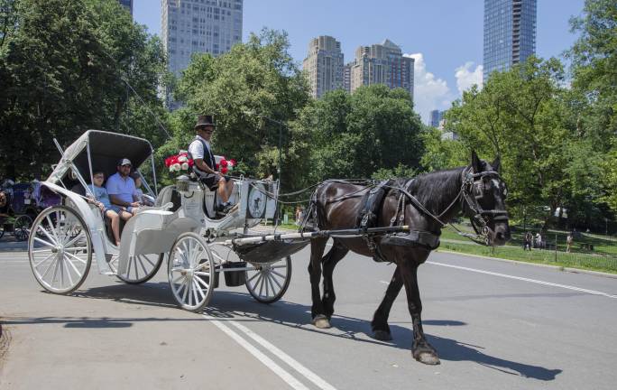 Horse carriage rides resumed in the park June 23, after a six-day pause to pay respect for a fatal incident, in which a teen fell from a runaway carriage and died. It was halted again after the temperature soared over 89 degrees in recent days.