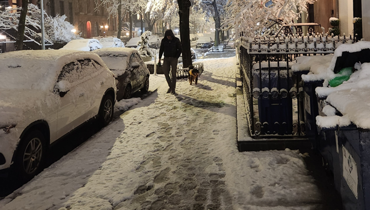 A solitary man walks dog down W. 22nd St. in Chelsea on Feb. 22.