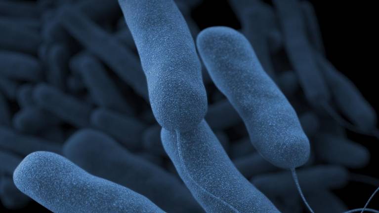 A current outbreak of Legionnaires’ has killed three people, although the pace of infection is slowing.