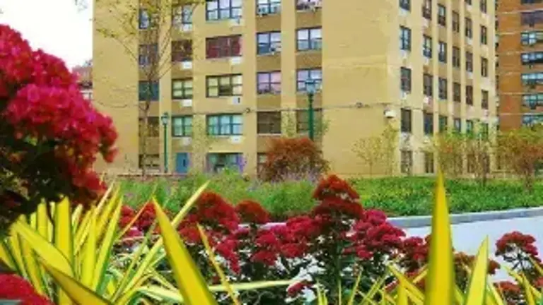 Legionnaire’s disease has been detected in the water system of Haven Plaza, a housing complex in the East Village, after an NYC Health Department probe.