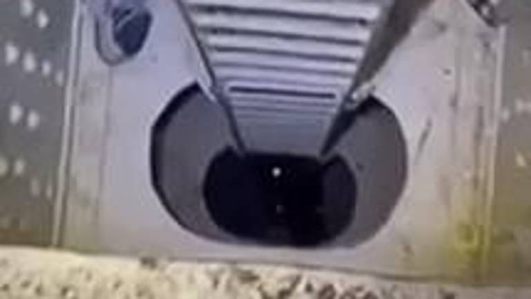 Companions posted videos of the injured Franke Allocca moaning in pain after he fell down a 50 ft shaft on the Queensboro Bridge but they fled and never notified first responders.