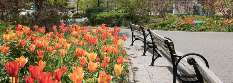 The Trust is otherwise known for overseeing several miles of Manhattan’s Hudson River shoreline.