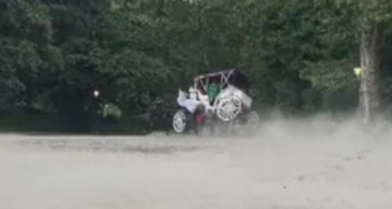 Video shows the carriage tettering on two wheels after the horse bolted after its driver disembarked to take a photo of tourists. An 18 year old male sustained serious injuries and later died after being thrown from the carriage.