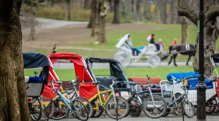 The City Council is looking into recommendations on how to reform the city’s pedicab industry, Council Speaker Julie Menin says.