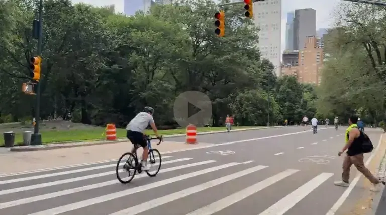 Even before traffic signals were covered up, it was dangerous for pedestrians to navigate Park crosswalks. Above, a biker runs a red light, while a pedestrian who has the right of way (see white Walk sign) steps into the crosswalk.