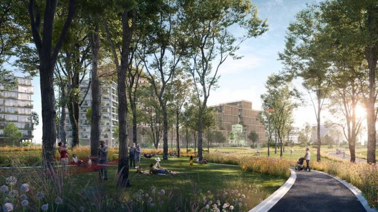 Hammock Grove on Governors Island. Rendering: WXY architecture + urban design/bloomimages