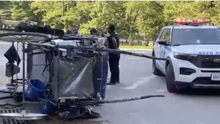 A teen died after he was tossed from a horse drawn carriage that overturned in Central Park shortly after 2:45 p.m. on June 17.