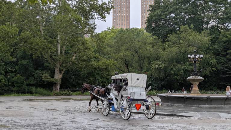 Bethesda Fountain at Carnegie Hill from where a horse bolted, causing the death of Romanch.