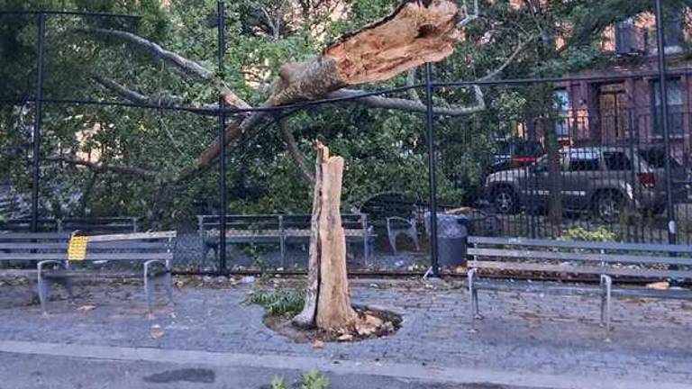 Alex Bailey, a user on ‘Nextdoor,’ shared a photo of a fallen tree that had completely toppled over and broken the fence in a park in the West Village.
