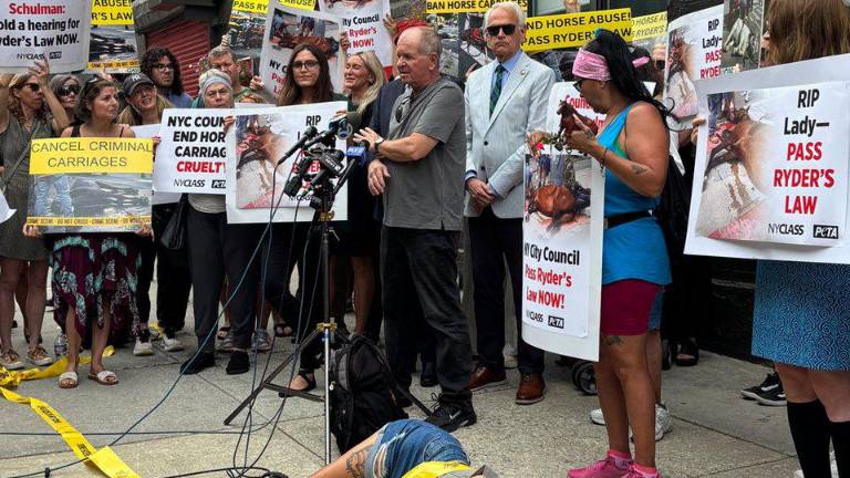 Politicos and animal rights activists held a rally the next day, Aug. 6, to demand the passage of a bill that would ban the carriage trade.