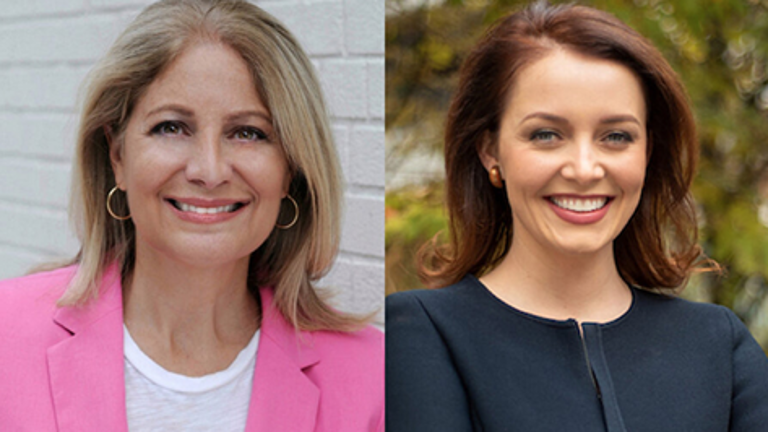 Questions of development and preservation alike have dominated the special election race for (from clockwise) Leslie Boghosian Murphy, Lindsay Boylan, Layla Law-Gisiko. and Carl Wilson.