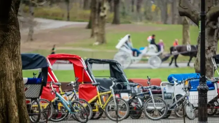 The City Council is looking into recommendations on how to reform the city’s pedicab industry, Council Speaker Julie Menin says.